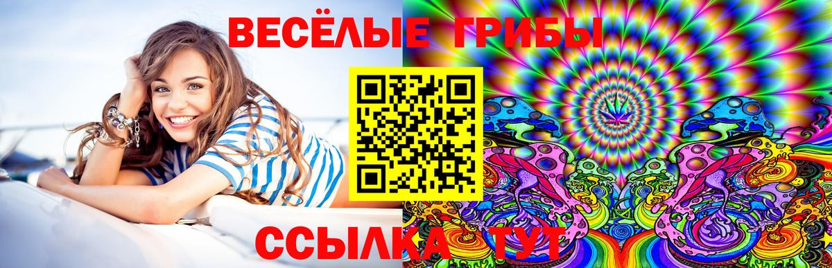Псилоцибиновые грибы MAGIC MUSHROOMS  Вход с VPN  Балашов 