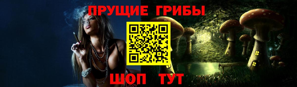 Галлюциногенные грибы Cubensis Балашов